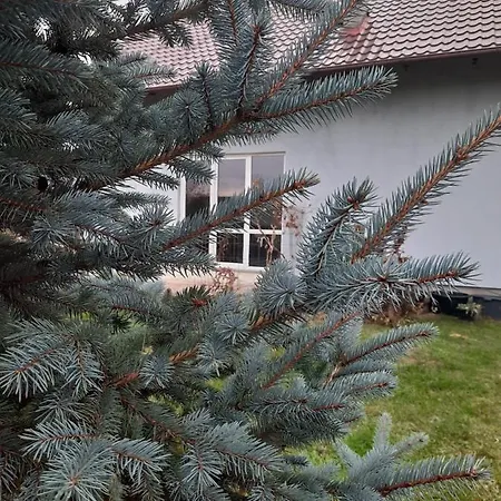 Wladyslawowo Modrzewiowa Apartment Lebcz